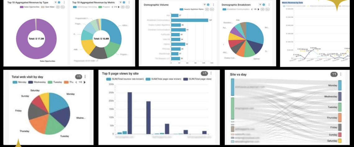 ONEcount BI: All-in-one Reporting
