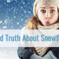 The Cold Truth About Snowflake